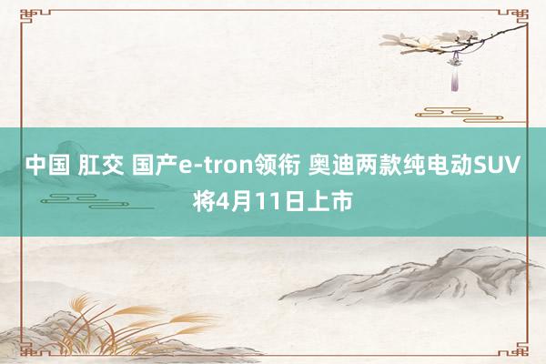 中国 肛交 国产e-tron领衔 奥迪两款纯电动SUV将4月11日上市