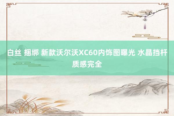 白丝 捆绑 新款沃尔沃XC60内饰图曝光 水晶挡杆质感完全