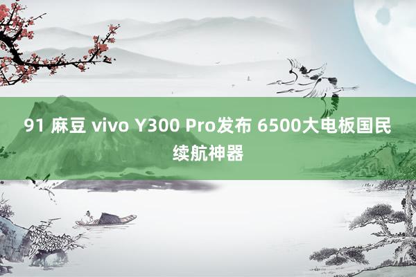 91 麻豆 vivo Y300 Pro发布 6500大电板国民续航神器