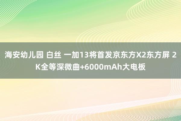 海安幼儿园 白丝 一加13将首发京东方X2东方屏 2K全等深微曲+6000mAh大电板