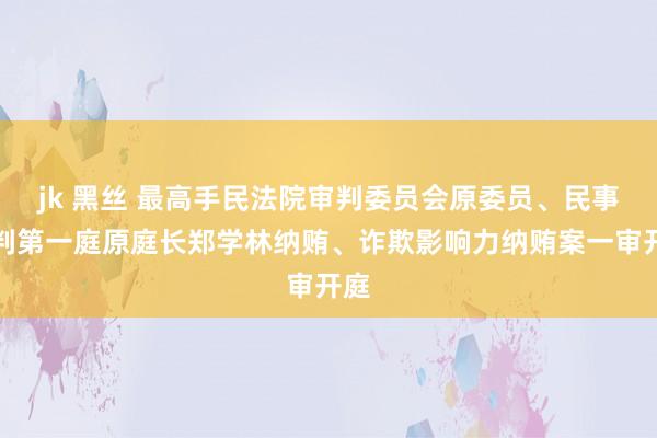 jk 黑丝 最高手民法院审判委员会原委员、民事审判第一庭原庭长郑学林纳贿、诈欺影响力纳贿案一审开庭