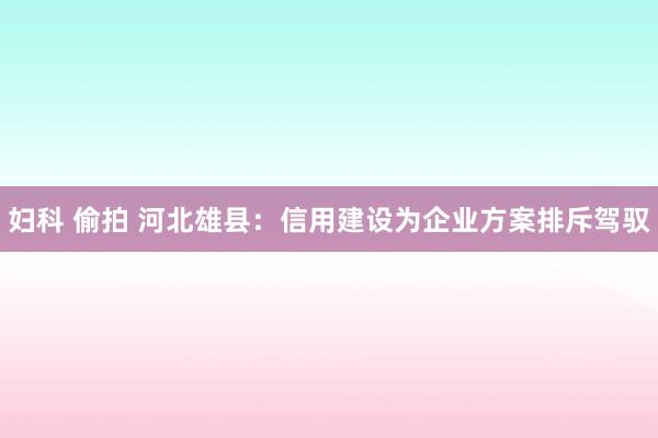 妇科 偷拍 河北雄县：信用建设为企业方案排斥驾驭