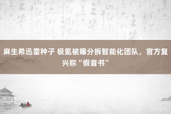 麻生希迅雷种子 极氪被曝分拆智能化团队，官方复兴称“假音书”