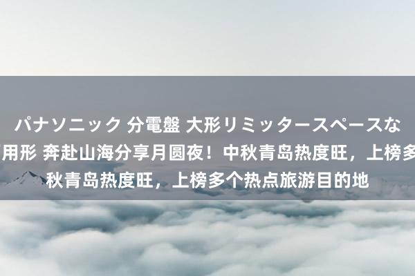 パナソニック 分電盤 大形リミッタースペースなし 露出・半埋込両用形 奔赴山海分享月圆夜！中秋青岛热度旺，上榜多个热点旅游目的地