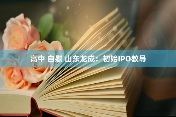 高中 自慰 山东龙成：初始IPO教导