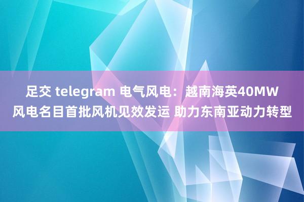 足交 telegram 电气风电：越南海英40MW风电名目首批风机见效发运 助力东南亚动力转型