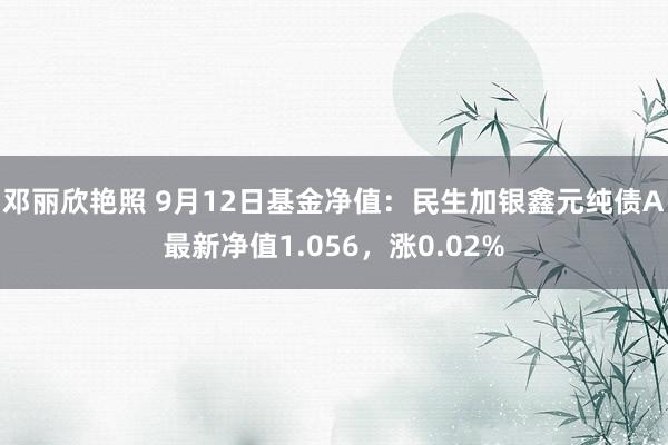 邓丽欣艳照 9月12日基金净值：民生加银鑫元纯债A最新净值1.056，涨0.02%