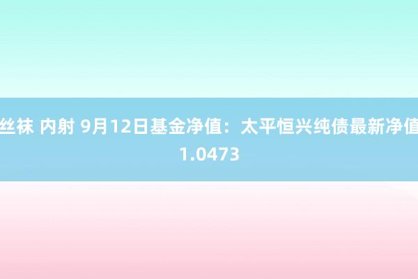 丝袜 内射 9月12日基金净值：太平恒兴纯债最新净值1.0473