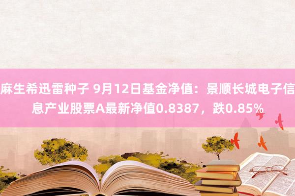 麻生希迅雷种子 9月12日基金净值：景顺长城电子信息产业股票A最新净值0.8387，跌0.85%