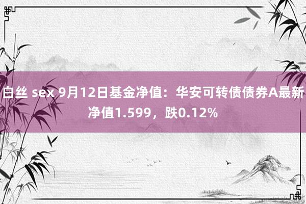 白丝 sex 9月12日基金净值：华安可转债债券A最新净值1.599，跌0.12%