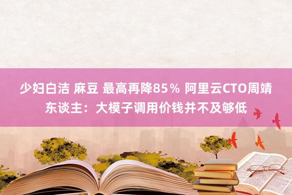 少妇白洁 麻豆 最高再降85％ 阿里云CTO周靖东谈主：大模子调用价钱并不及够低