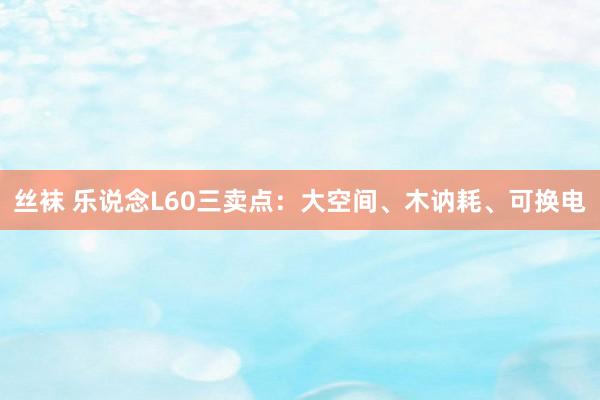 丝袜 乐说念L60三卖点：大空间、木讷耗、可换电