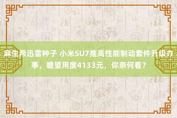 麻生希迅雷种子 小米SU7推高性能制动套件升级办事，瞻望用度4133元，你奈何看？