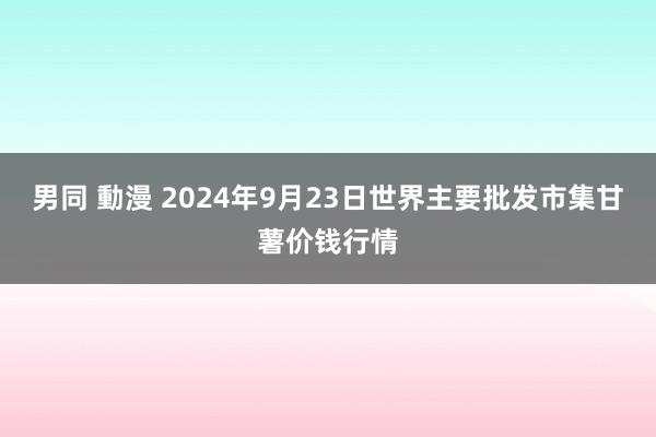 男同 動漫 2024年9月23日世界主要批发市集甘薯价钱行情