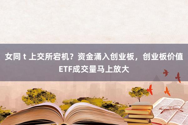 女同 t 上交所宕机？资金涌入创业板，创业板价值ETF成交量马上放大