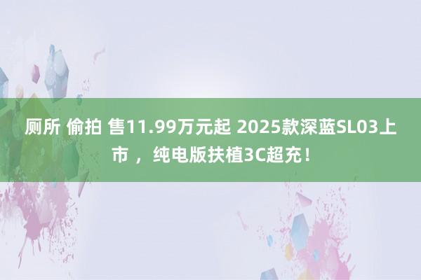 厕所 偷拍 售11.99万元起 2025款深蓝SL03上市 ，纯电版扶植3C超充！