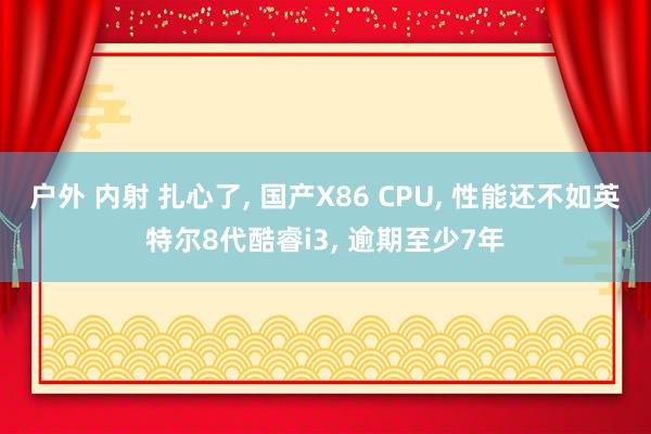 户外 内射 扎心了， 国产X86 CPU， 性能还不如英特尔8代酷睿i3， 逾期至少7年