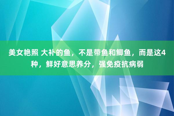 美女艳照 大补的鱼，不是带鱼和鲫鱼，而是这4种，鲜好意思养分，强免疫抗病弱