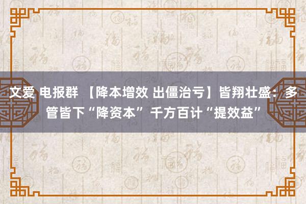 文爱 电报群 【降本增效 出僵治亏】皆翔壮盛：多管皆下“降资本” 千方百计“提效益”