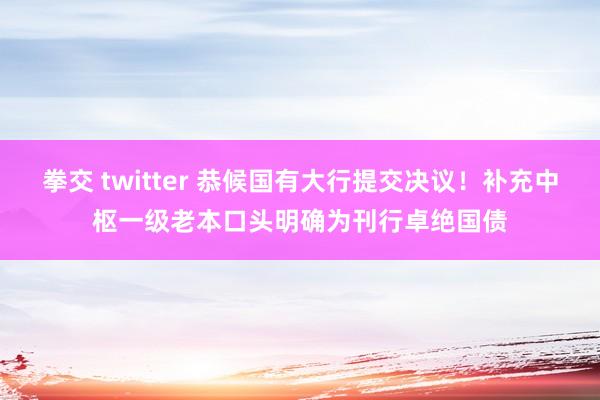 拳交 twitter 恭候国有大行提交决议！补充中枢一级老本口头明确为刊行卓绝国债