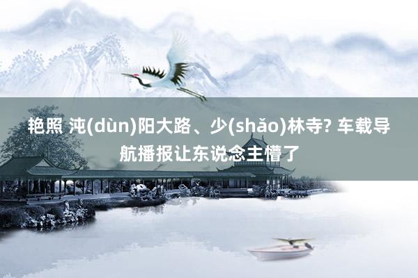 艳照 沌(dùn)阳大路、少(shǎo)林寺? 车载导航播报让东说念主懵了