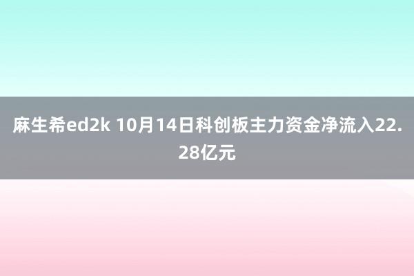 麻生希ed2k 10月14日科创板主力资金净流入22.28亿元