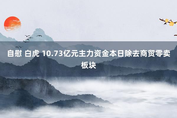 自慰 白虎 10.73亿元主力资金本日除去商贸零卖板块