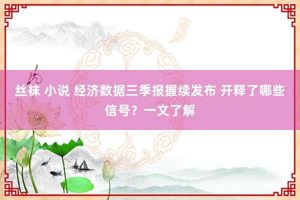 丝袜 小说 经济数据三季报握续发布 开释了哪些信号？一文了解