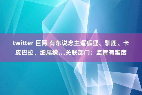 twitter 巨臀 有东说念主遛狐狸、驯鹿、卡皮巴拉、细尾獴…关联部门：监管有难度