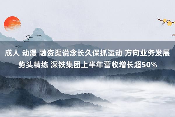 成人 动漫 融资渠说念长久保抓运动 方向业务发展势头精练 深铁集团上半年营收增长超50%