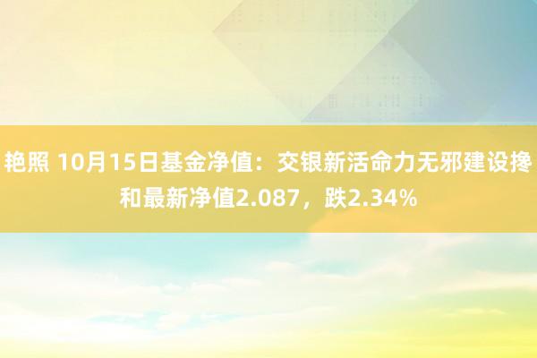 艳照 10月15日基金净值：交银新活命力无邪建设搀和最新净值2.087，跌2.34%