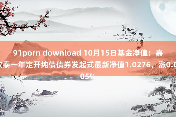 91porn download 10月15日基金净值：嘉实致泰一年定开纯债债券发起式最新净值1.0276，涨0.05%