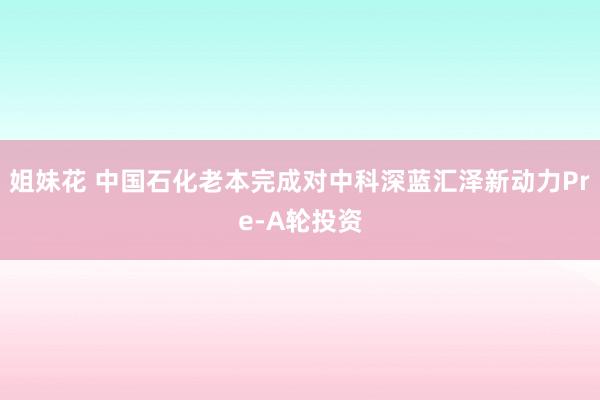 姐妹花 中国石化老本完成对中科深蓝汇泽新动力Pre-A轮投资