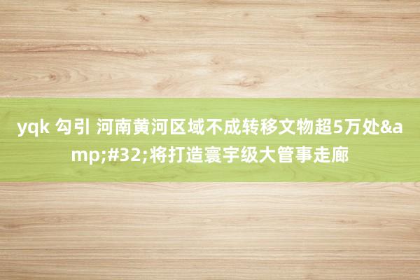 yqk 勾引 河南黄河区域不成转移文物超5万处&#32;将打造寰宇级大管事走廊