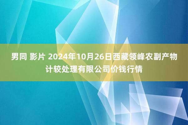 男同 影片 2024年10月26日西藏领峰农副产物计较处理有限公司价钱行情