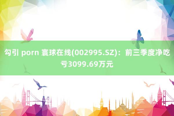 勾引 porn 寰球在线(002995.SZ)：前三季度净吃亏3099.69万元