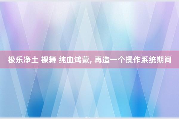 极乐净土 裸舞 纯血鸿蒙， 再造一个操作系统期间