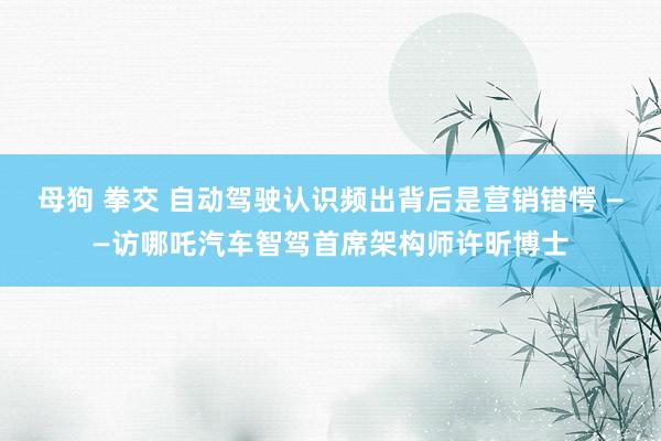 母狗 拳交 自动驾驶认识频出背后是营销错愕 ——访哪吒汽车智驾首席架构师许昕博士