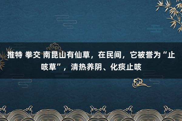 推特 拳交 南昆山有仙草，在民间，它被誉为“止咳草”，清热养阴、化痰止咳