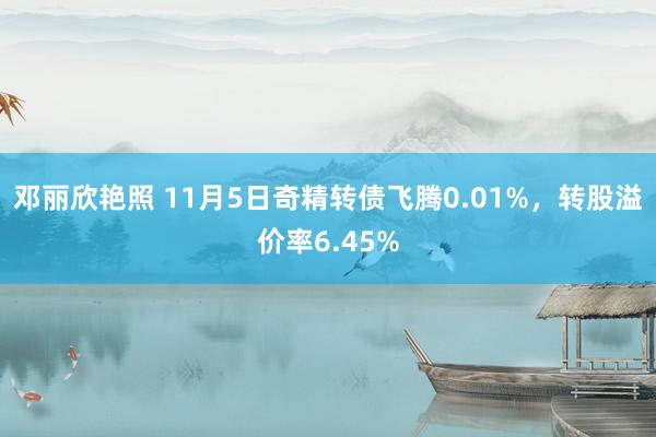 邓丽欣艳照 11月5日奇精转债飞腾0.01%，转股溢价率6.45%