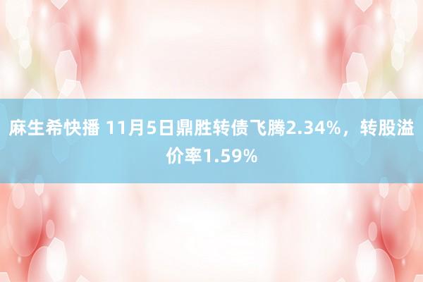 麻生希快播 11月5日鼎胜转债飞腾2.34%，转股溢价率1.59%