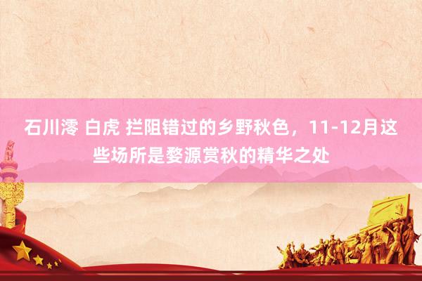 石川澪 白虎 拦阻错过的乡野秋色，11-12月这些场所是婺源赏秋的精华之处