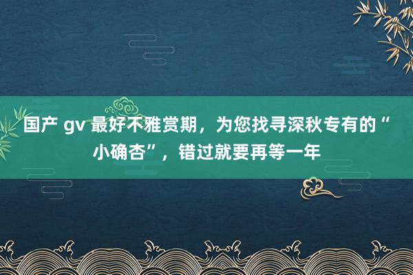 国产 gv 最好不雅赏期，为您找寻深秋专有的“小确杏”，错过就要再等一年