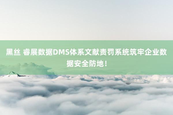 黑丝 睿展数据DMS体系文献责罚系统筑牢企业数据安全防地！