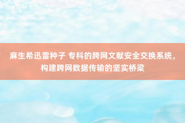 麻生希迅雷种子 专科的跨网文献安全交换系统，构建跨网数据传输的坚实桥梁