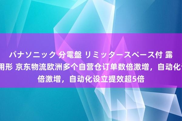 パナソニック 分電盤 リミッタースペース付 露出・半埋込両用形 京东物流欧洲多个自营仓订单数倍激增，自动化设立提效超5倍