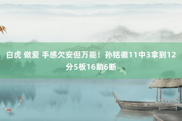 白虎 做爱 手感欠安但万能！孙铭徽11中3拿到12分5板16助6断