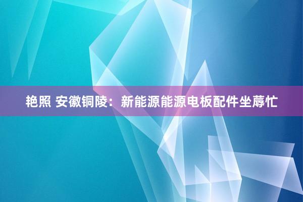 艳照 安徽铜陵：新能源能源电板配件坐蓐忙