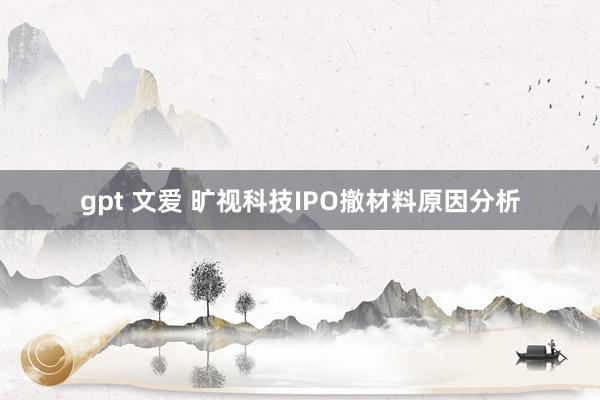 gpt 文爱 旷视科技IPO撤材料原因分析