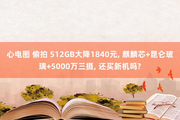 心电图 偷拍 512GB大降1840元， 麒麟芯+昆仑玻璃+5000万三摄， 还买新机吗?